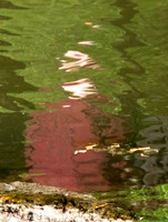 530p cr1 5 10 2023